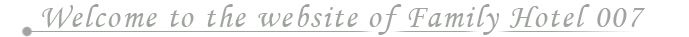 Welcome to the website of Hotel 007